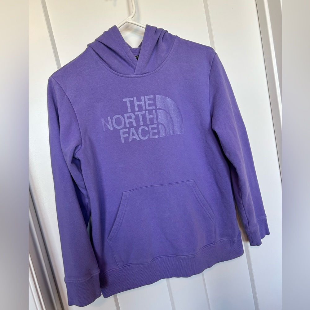 The northface hooded sweatshirt